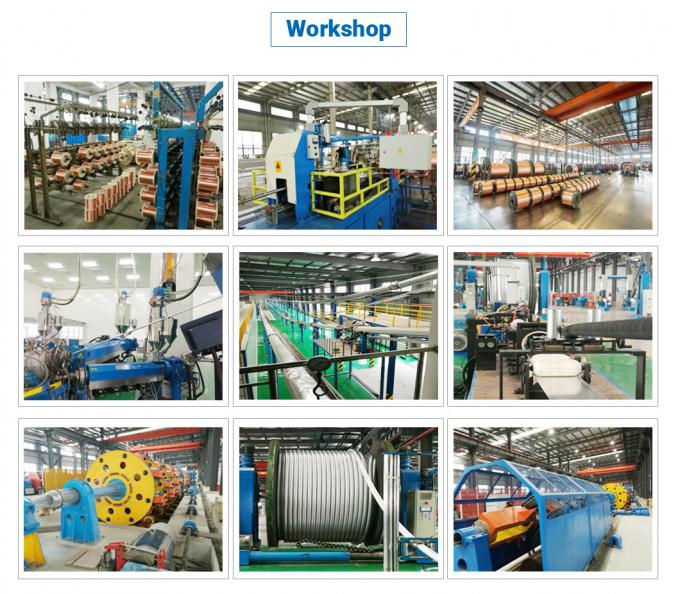 0.6/1 (1.2) Kv Low Voltage Al (Cu) /XLPE/PVC 1*400mm2 1*500mm2 1*630mm2 Single Core Copper/Aluminum XLPE Insulated Unarmored Cable