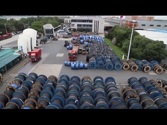 1.5 মিমি এসডিআই একক কোর ডাবল আইসোলেটেড বৈদ্যুতিক তার 450/750V পিভিসি/পিভিসি (রেড/হোয়াইট)